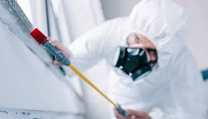 Best Pest Exclusion Services  in South Farmingdale, NY